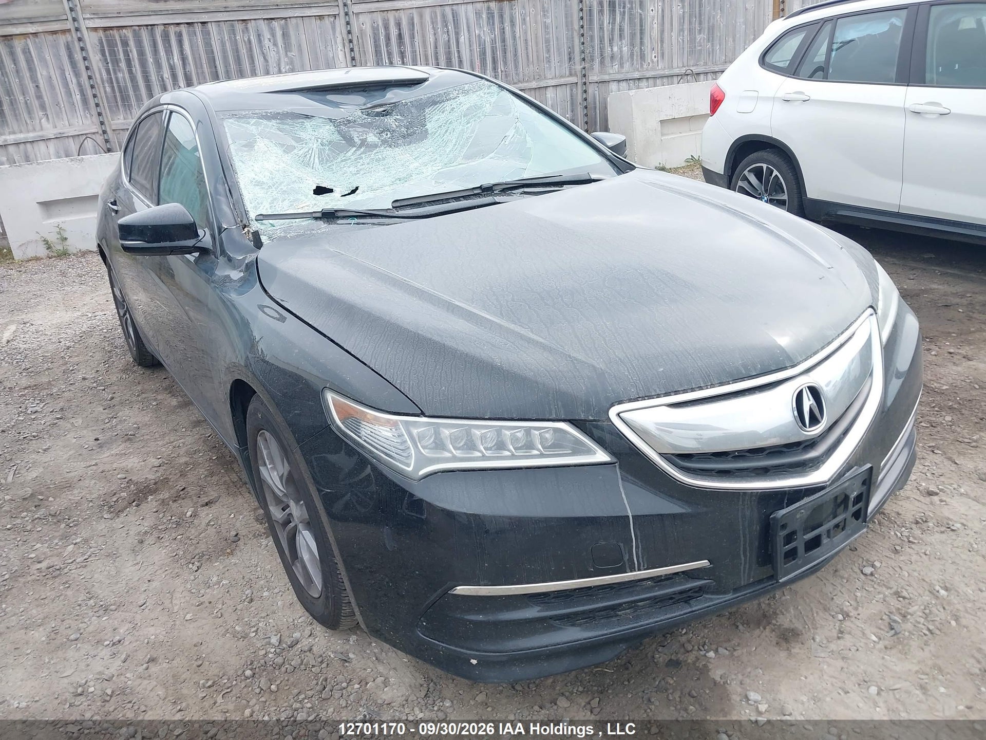 2015 ACURA TLX TECH — VIN 19UUB1F50FA800578 — Front Window & Roof Damage damage — salvage auction photo — TrueBid 2015 ACURA TLX TECH — VIN 19UUB1F50FA800578 — Front Window & Roof Damage damage — salvage auction photo — TrueBid